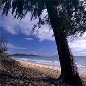Beach in Hawaii, USA