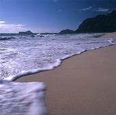 Strand på Hawaii, USA