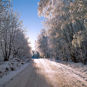 Vinterväg