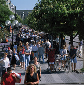Avenue in Gothenburg