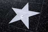 Star in Hollywood. Julio Iglesias