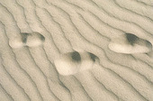 Spår i sand