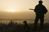 Hunters with dogs