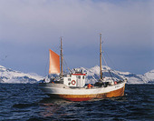 Fiskebåt vid Lofoten, Norge