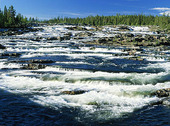 Steps rapids, Lapland