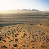 Namibia desert, Namibia