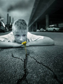 Pojke med blomma i asfaltspricka