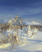 Vinterlandskap, Finland