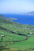 Irländskt kustlandskap