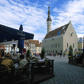 Gamla stan i Tallinn, Estland