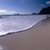 Strand på Hawaii, USA