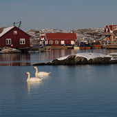 Skärhamn på vintern, Bohuslän
