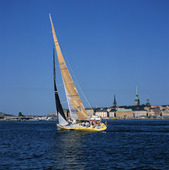Segelbåt i Stockholm