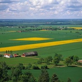 Jordbrukslandskap