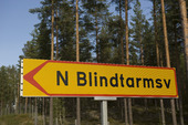 Styckmordet vid Blindtarmsvägen i Bollnäs