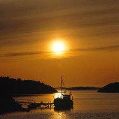 Fiskebåt i solnedgång, Bohuslän