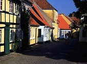 Korsvirkeshus, Danmark