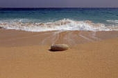 Sten på sandstrand