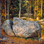Kluven sten i skogen