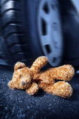 Teddy bear in front of a car