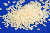 Avorio rice