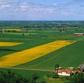 Jordbrukslandskap