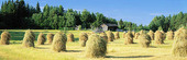 Haystacks in field