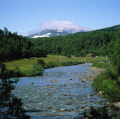 Department at cutting the mountain, Härjedalen