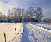 Landsväg - vinter
