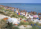 Beach at Falsterbo, Skåne