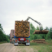 Timber Transport