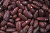 Red Kidney bean