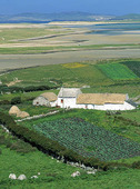 Houses in potato cultivation, Ireland
