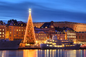 Julgran i Gamla stan, Stockholm