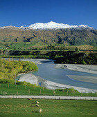 Naturlandskap på Nya Zeeland
