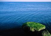 Sten i havet