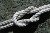 REEF KNOT