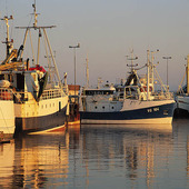 Fiskebåtar i Varbergs hamn, Halland