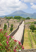 Pompeii street 