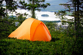 Camping i naturen