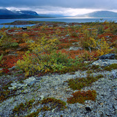 Stora Sjöfallets nationalpark, Lappland