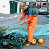Fiskare lagar nät, Bohuslän