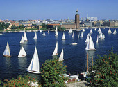 Sailboats at City Hall, Stockholm