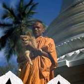 Buddistmunk med hund, Sri Lanka