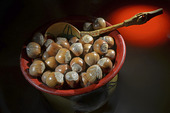 Skål med hasselnötter