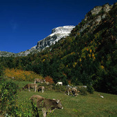 Valley of Hecho i Pyrenéerna, Spanien