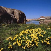 Ramvik country, Bohuslän