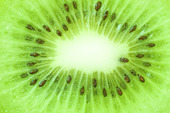 Kiwi fruit macro