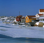 Vinter på Tjörn, Bohuslän