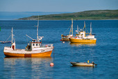 Fiskebåtar på svaj, Nordnorge